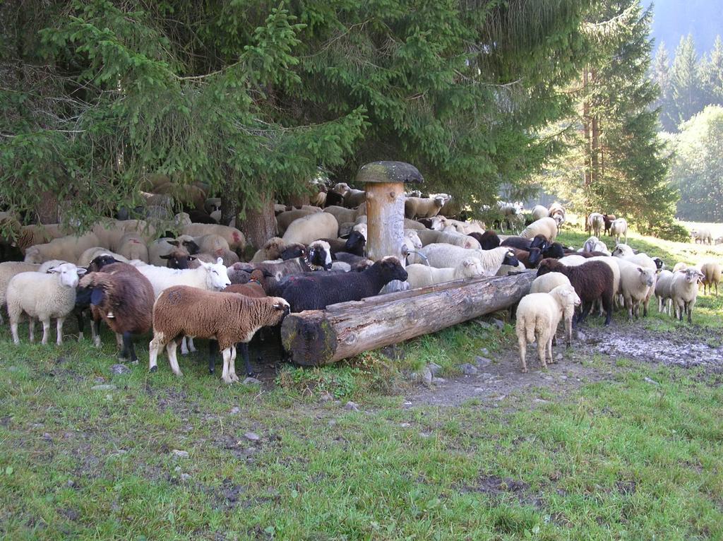 Ferienbauernhof Liebschick Villa Egg Dış mekan fotoğraf